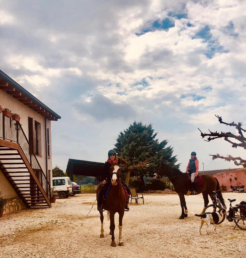 B&B El Ranxo Franciach 외부 사진